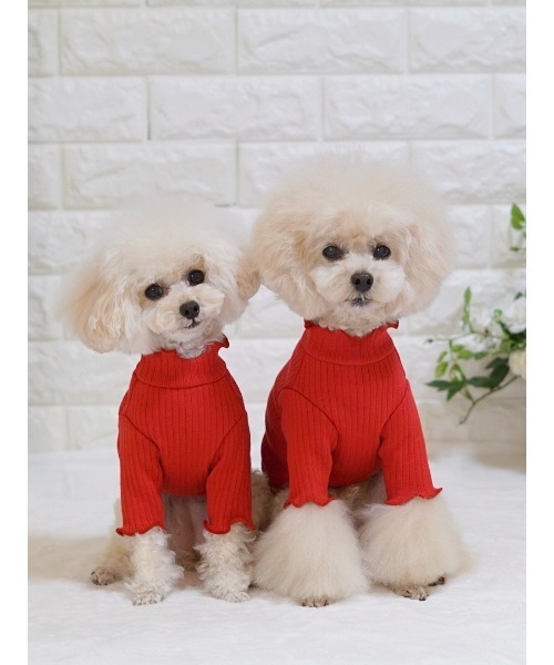 poteco】フリルリブプルオーバー(ハイネック）/犬服(ドッグウエア)(SU