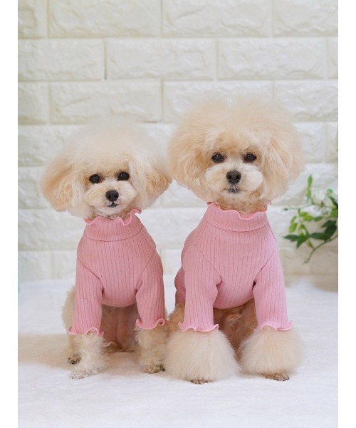 poteco】フリルリブプルオーバー(ハイネック）/犬服(ドッグウエア)(SU
