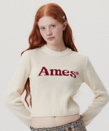 AMESWORLDWIDE | A'GEM/9 × .kom 『AMESWORLDWIDE/アメスワールドワイド』 BASIC PULLOVER KNIT/ベーシック プルオーバー ニット(ニット/セーター)
