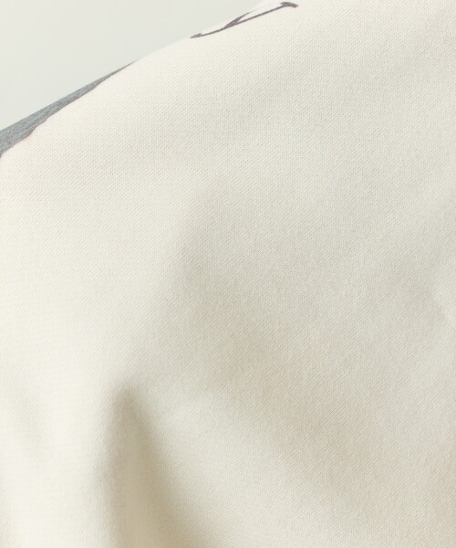 限定展開 いたずらキャット 裏起毛 スウェット（スウェット）｜FREAK'S STORE（フリークスストア）