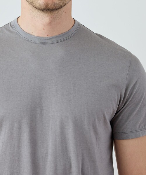 JAMES PERSE(ジェームスパース)の「リュクス ジャージークルーネックTシャツ MELJ3199(Tシャツ/カットソー・メンズ・ダークグリーン/グレー・1/0/3)」の7枚目の写真