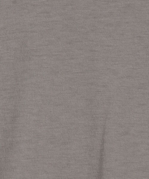 JAMES PERSE(ジェームスパース)の「リュクス ジャージークルーネックTシャツ MELJ3199(Tシャツ/カットソー・メンズ・ダークグリーン/グレー・1/0/3)」の10枚目の写真