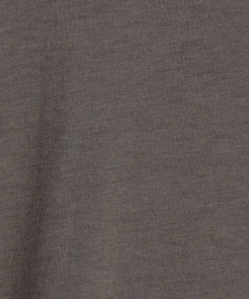JAMES PERSE(ジェームスパース)の「リュクス ジャージークルーネックTシャツ MELJ3199(Tシャツ/カットソー・メンズ・ダークグリーン/グレー・1/0/3)」の11枚目の写真