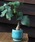 DULTON�i�_���g���j�́uGLAZED EARTHENWARE POT S/�A�ؔ� �v�����^�[�i�t�����[�x�[�X�j�v�b�^�[�R�C�Y�u���[