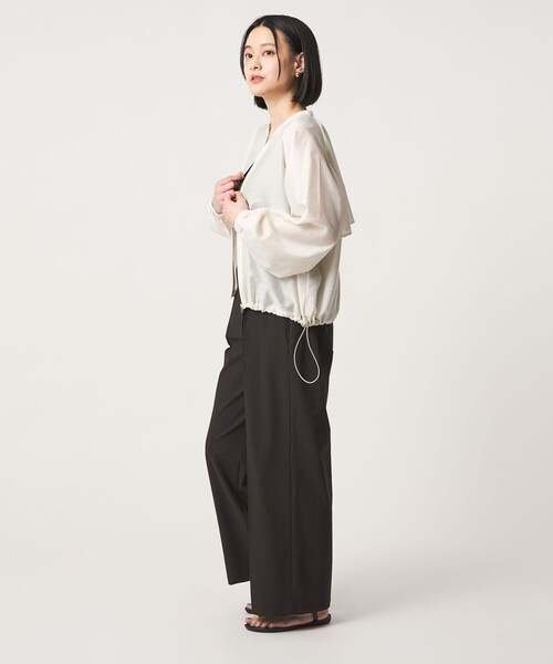 A DAY IN THE LIFE UNITED ARROWS(アデイインザライフユナイテッドアローズ)の「シアーブルゾン ‐ウォッシャブル‐<A DAY IN THE LIFE>(ブルゾン・レディース・ブラック/ライム/ライトグレー/ホワイト・FREE)」の10枚目の写真