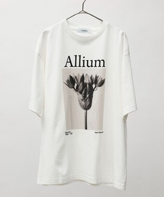 アーティストTシャツ（Karl Blossfeldt／Allium）