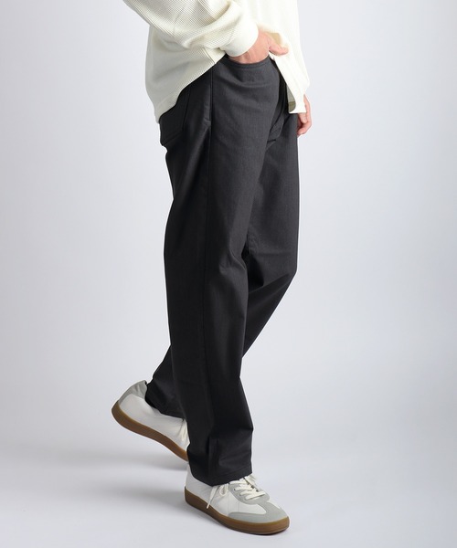 WESTSEA(ウエストシー)の「薄手 裏起毛 メガストレッチパンツ ストレートパンツ バックシャーリング 5ポケット(その他パンツ・メンズ・チャコール/グレー・M/LL/L)」の3枚目の写真
