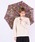 FUNALIVEit@ACuj́uGRACITO { ԕvg ܂肽ݎPi܂肽ݎPjvbubN