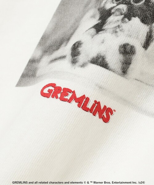 Ray BEAMS（レイビームス）の「GOOD ROCK SPEED / 別注 MOVIE Tシャツ（Tシャツ/カットソー・レディース・オフホワイト/チャコールグレー・ONE SIZE）」の15枚目の写真