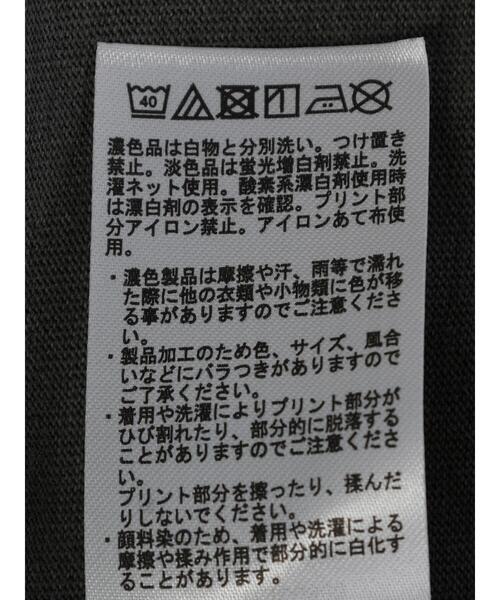 Disney(ディズニー)の「フロッキーPtフェード加工T/Donald(Tシャツ/カットソー・レディース・チャコールグレー・M/L)」の9枚目の写真