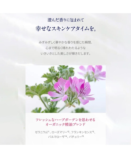 ワイルドローズ ビューティバーム 50g（クロス・箱なし）（美容液