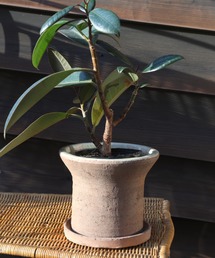 DULTON(�_���g��)��GLAZED EARTHENWARE POT L IVORY/�A�ؔ� �v�����^�[(�t�����[�x�[�X)