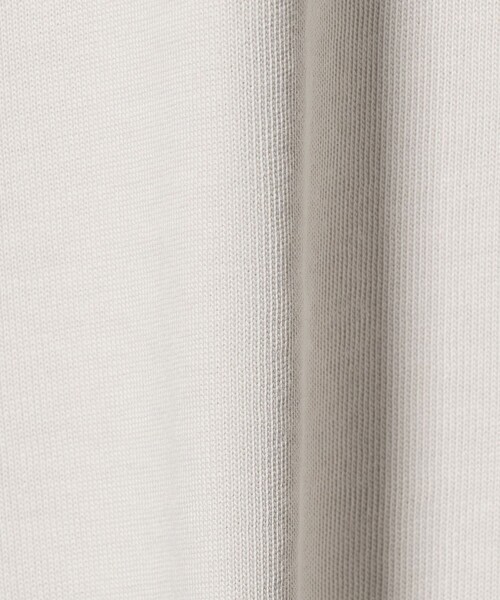 A DAY IN THE LIFE UNITED ARROWS(アデイインザライフユナイテッドアローズ)の「プリント ショートスリーブTシャツ <A DAY IN THE LIFE>(Tシャツ/カットソー・レディース・ライトグレー/オフホワイト/クリーム/ネイビー・FREE)」の11枚目の写真