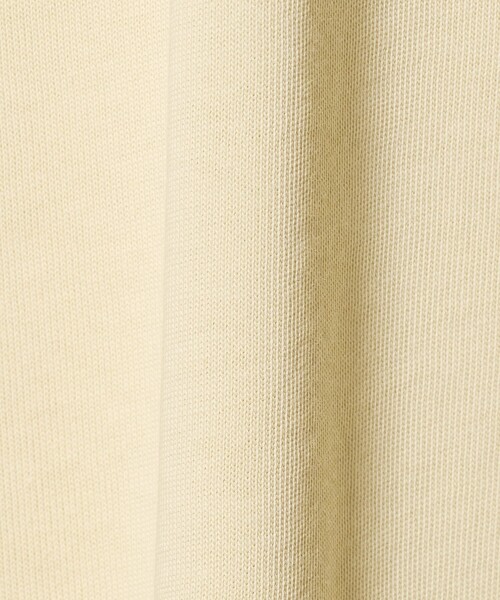 A DAY IN THE LIFE UNITED ARROWS(アデイインザライフユナイテッドアローズ)の「プリント ショートスリーブTシャツ <A DAY IN THE LIFE>(Tシャツ/カットソー・レディース・ライトグレー/オフホワイト/クリーム/ネイビー・FREE)」の9枚目の写真
