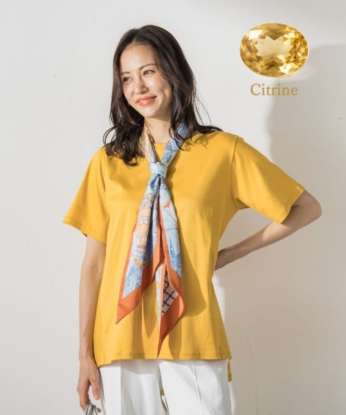 LAUTREAMONT(ロートレアモン)の「【WEB限定】≪気分で選べる!≫ジュエリーカラーカットソー(Tシャツ/カットソー・レディース・ネイビー/ピンク/イエロー/レッド/ブラック/パープル/ブルー/ホワイト/ベージュ/ブラウン/キャメル/グリーン・9号/11号)」の9枚目の写真