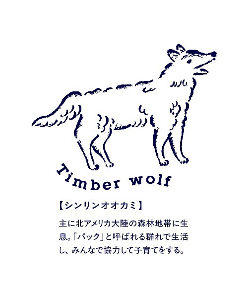 IEDIT(イディット)の「【旭山動物園コラボ】IEDIT アニマル星座柄が夜空にきらめく プリントワンピース〈ネイビー〉(ワンピース・レディース・ネイビー系・LL/L/M/S)」の5枚目の写真