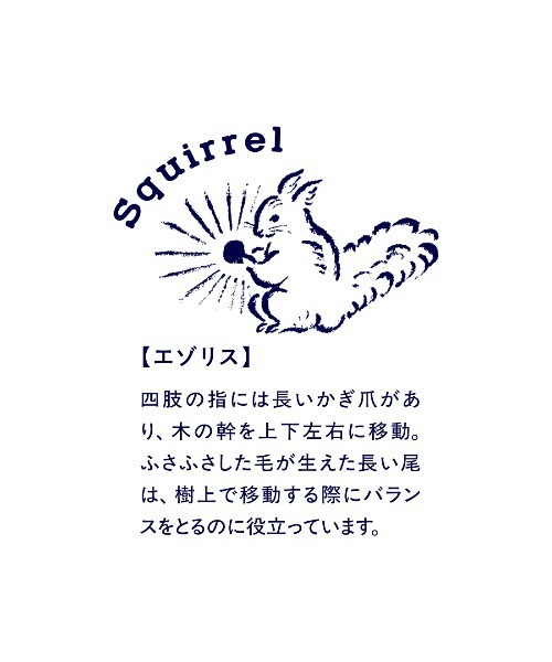 IEDIT(イディット)の「【旭山動物園コラボ】IEDIT アニマル星座柄が夜空にきらめく プリントワンピース〈ネイビー〉(ワンピース・レディース・ネイビー系・LL/L/M/S)」の6枚目の写真