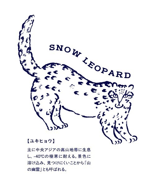 IEDIT(イディット)の「【旭山動物園コラボ】IEDIT アニマル星座柄が夜空にきらめく プリントワンピース〈ネイビー〉(ワンピース・レディース・ネイビー系・LL/L/M/S)」の7枚目の写真