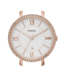 FOSSIL(tHbV)̃tHbV rv fB[X AiO  C141016(AiOrv)