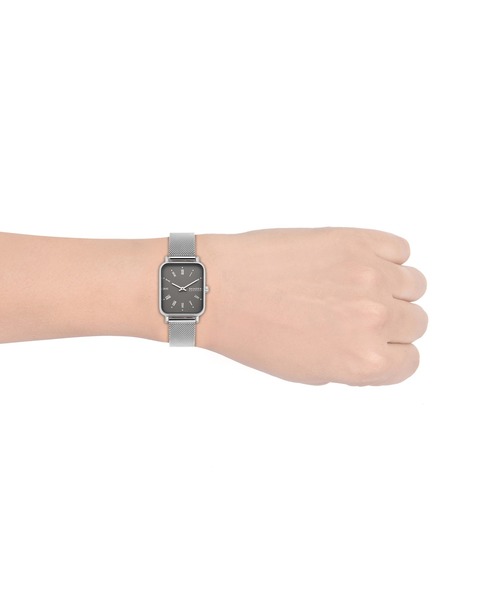 SKAGEN（スカーゲン）の「Ryle　SKW2873（アナログ腕時計・レディース・シルバー・FREE）」の11枚目の写真