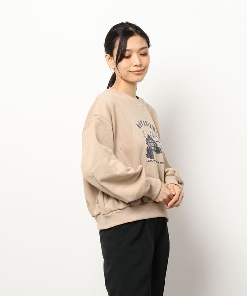 Three Four Time（ｽﾘｰﾌｫｰﾀｲﾑ）の「フロッキープリントボリュームスリーブプルオーバー（スウェット・レディース・ベージュ/グレー・FREE）」の3枚目の写真