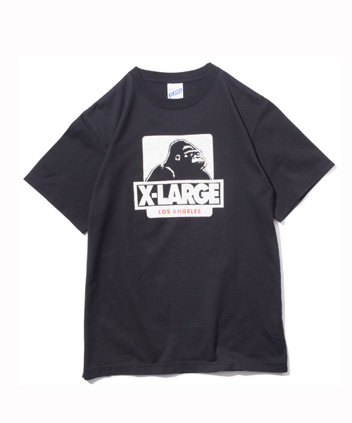 XLARGE（エクストララージ）の「S/S TEE CRACK OG（Tシャツ/カットソー・メンズ・ホワイト/ブラック/アッシュ/ブルー/ネイビー・SMALL/X-LARGE/LARGE/MEDIUM）」の2枚目の写真