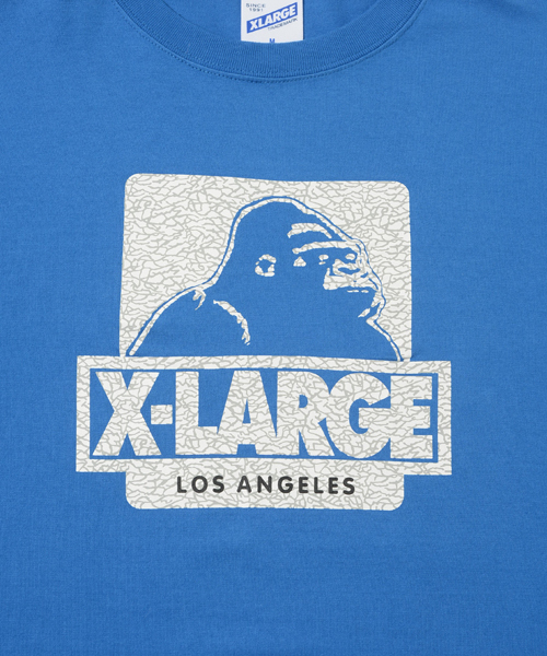 XLARGE（エクストララージ）の「S/S TEE CRACK OG（Tシャツ/カットソー・メンズ・ホワイト/ブラック/アッシュ/ブルー/ネイビー・SMALL/X-LARGE/LARGE/MEDIUM）」の6枚目の写真