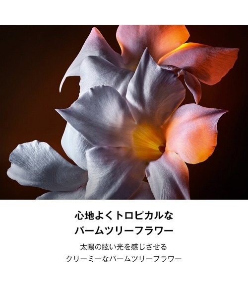 イブ•サンローラン♡リブレオーデパルファムフローラル新品未使用フランス製 新製品】リブレ オーデパルファム フローラル 10mL（香水