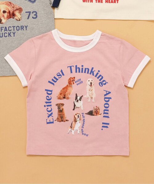 BREEZE(ブリーズ)の「【リンク/ジュニア対応】wonderful リンガーDOGカレッジ半袖Tシャツ(Tシャツ/カットソー・キッズ・グレー/アイボリー/ベビーピンク・140/130/120/110/100/90/80)」の3枚目の写真