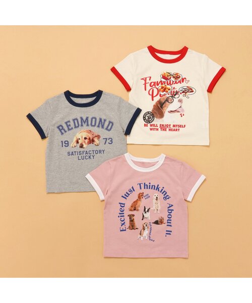 BREEZE(ブリーズ)の「【リンク/ジュニア対応】wonderful リンガーDOGカレッジ半袖Tシャツ(Tシャツ/カットソー・キッズ・グレー/アイボリー/ベビーピンク・140/130/120/110/100/90/80)」の20枚目の写真