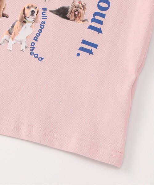 BREEZE(ブリーズ)の「【リンク/ジュニア対応】wonderful リンガーDOGカレッジ半袖Tシャツ(Tシャツ/カットソー・キッズ・グレー/アイボリー/ベビーピンク・140/130/120/110/100/90/80)」の5枚目の写真