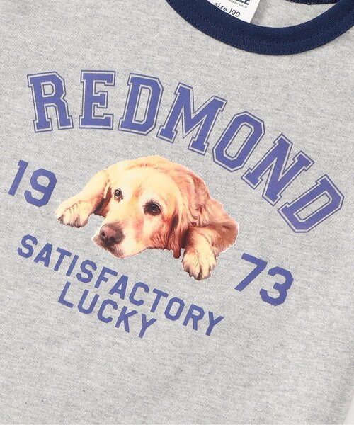 BREEZE(ブリーズ)の「【リンク/ジュニア対応】wonderful リンガーDOGカレッジ半袖Tシャツ(Tシャツ/カットソー・キッズ・グレー/アイボリー/ベビーピンク・140/130/120/110/100/90/80)」の8枚目の写真