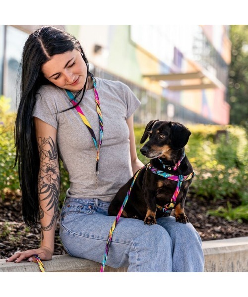 WOLFGANG MAN&BEAST/ウルフギャングマンアンドビースト 犬用 ハーネス