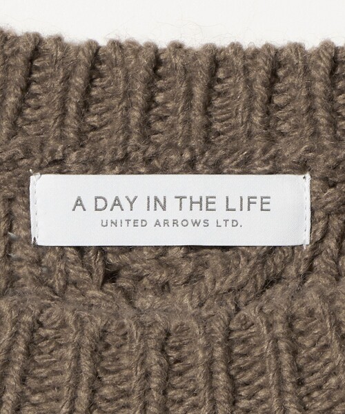 A DAY IN THE LIFE UNITED ARROWS(アデイインザライフユナイテッドアローズ)の「ビッグケーブル クルーネックニット <A DAY IN THE LIFE>(ニット/セーター・レディース・マスタード/モカ/ナチュラル・FREE)」の8枚目の写真
