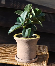 DULTON(�_���g��)��GLAZED EARTHENWARE POT M YELLOW/�A�ؔ� �v�����^�[(�t�����[�x�[�X)