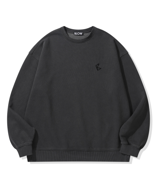 BLOW(ブロウ)の「PIGMENT SIGNATURE LOGO SWEATSHIRT(スウェット・メンズ・その他・FREE)」の1枚目の写真