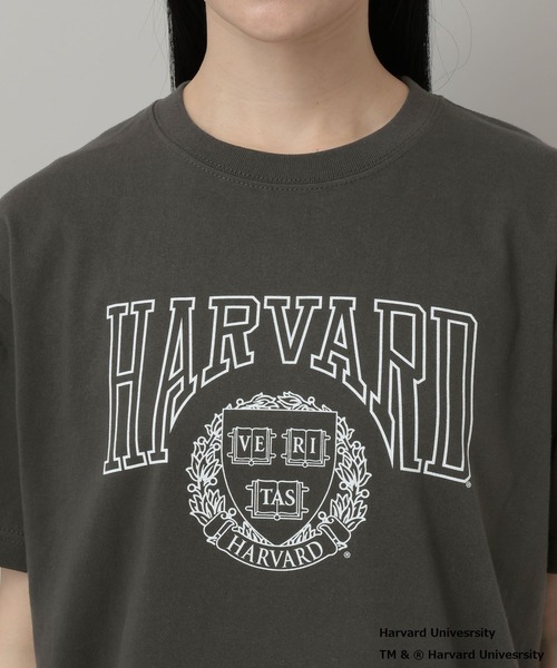 A part by(アパートバイ)の「College_Tシャツ(Tシャツ/カットソー・レディース・チャコールグレー/ボルドー・FREE)」の10枚目の写真