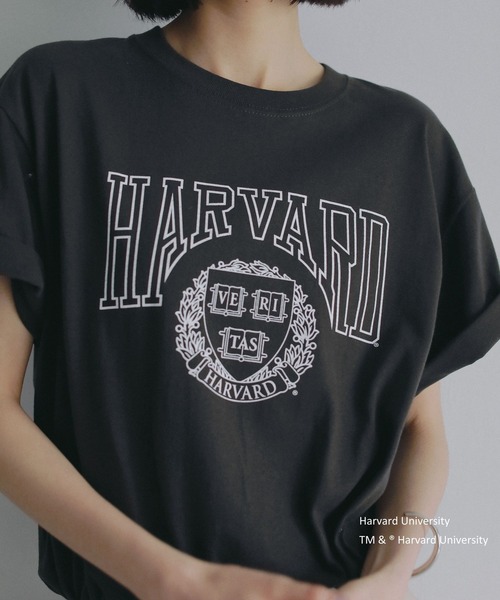 A part by(アパートバイ)の「College_Tシャツ(Tシャツ/カットソー・レディース・チャコールグレー/ボルドー・FREE)」の22枚目の写真