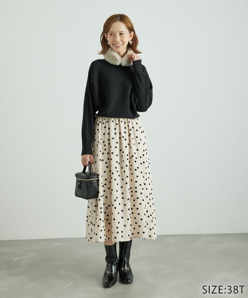 ROPE' PICNIC（ロペピクニック）の「【WEB限定】着丈が選べる/ドット柄ドッキングワンピース（ワンピース・レディース・ブラック系その他/ホワイト系その他・38/T38）」の13枚目の写真