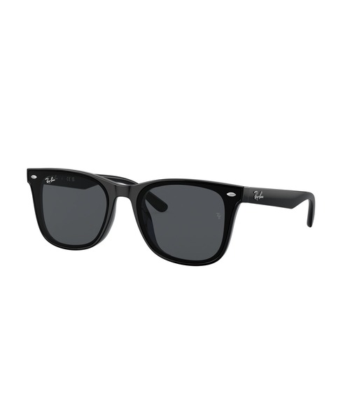 ZOZOTOWN】人気 No.1 Ray-Ban レイバン サングラス 0RB4391D (アジアン