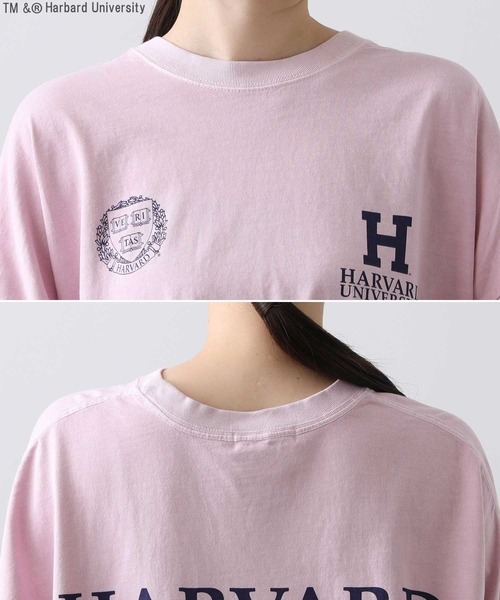 短期出品‼️グッドロックスピード HARVARD LONG SLEEVE TEE 短期出品‼️グッドロックスピード HARVARD LONG SLEEVE TEE