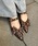 FOREVER 21itH[Go[ gDGeB[j́uy2025SSzX^bY2WAY~[ipvXjvbIp[h
