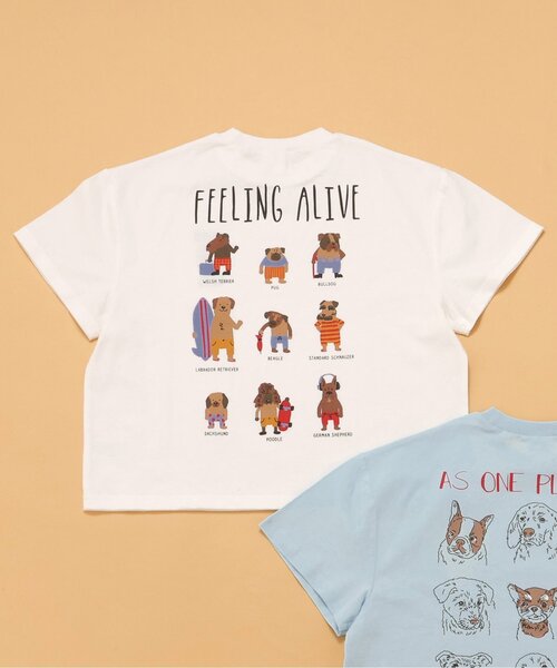 セール】【ジュニア対応】wonderful DOGフレンズ半袖Tシャツ（T