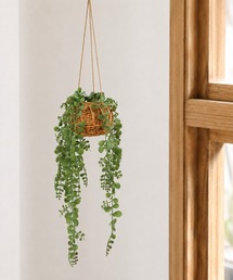 BACKYARD FAMILY(�o�b�N���[�h�t�@�~���[)�̌��G�} �n���M���O�o�X�P�b�g(�C���e���A�G��)