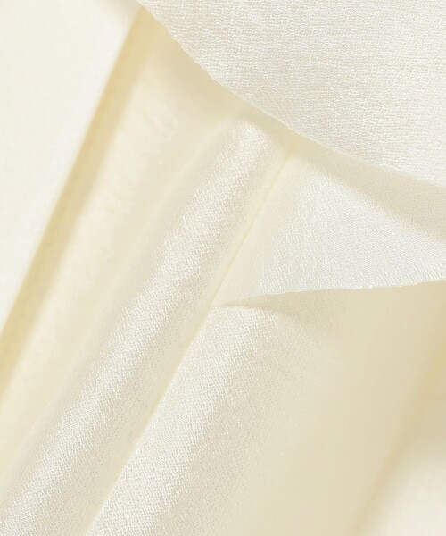 EFFE BEAMS(エッフェビームス)の「フリル オーガンジー ブラウス(シャツ/ブラウス・レディース・ネイビー/ピンク/オフホワイト・38/36)」の12枚目の写真