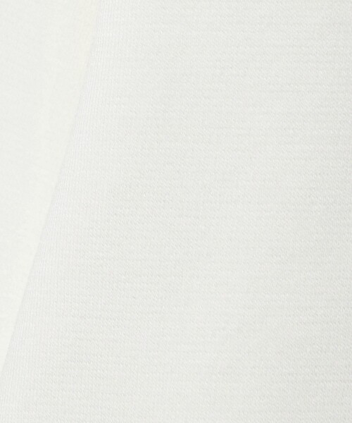 A DAY IN THE LIFE UNITED ARROWS（アデイインザライフユナイテッドアローズ）の「コットン シルケット ポンチ モックネックカットソー＜A DAY IN THE LIFE＞（Tシャツ/カットソー・メンズ・モカ/ホワイト/ブラック・L/M/S）」の20枚目の写真