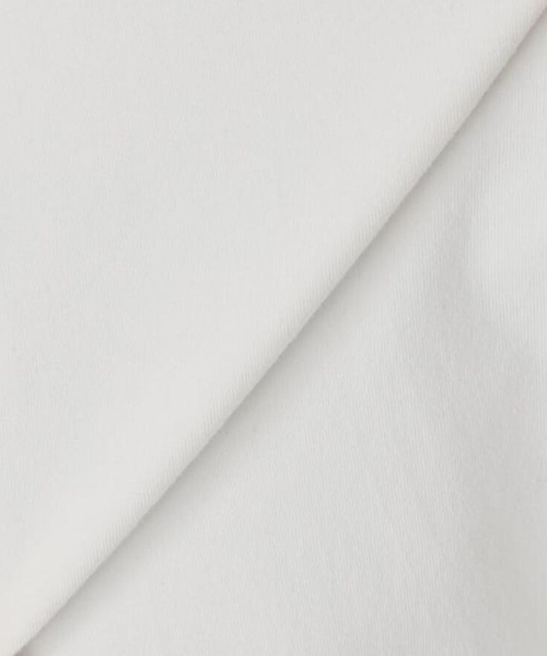 Healthknit（ヘルスニット）の「《追加》Healthknit / ヘルスニット 別注 ヘンリーネックTシャツ（Tシャツ/カットソー・メンズ・ホワイト/ブラウン/ブラック系その他・SMALL/MEDIUM/LARGE/X-LARGE）」の13枚目の写真