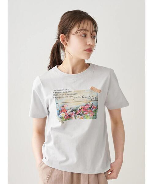 earth music&ecology（アースミュージックアンドエコロジー）の「Plants don't careTシャツ ＊（Tシャツ/カットソー・レディース・サックスブルー/ベージュ/オフホワイト・FREE）」の12枚目の写真