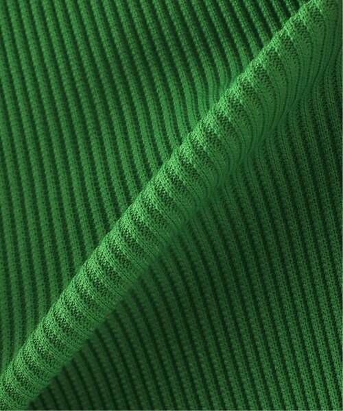 JOURNAL STANDARD(ジャーナルスタンダード)の「《追加2》Pストレッチリブロングスカート(スカート・レディース・ブラック/グリーン・FREE)」の17枚目の写真