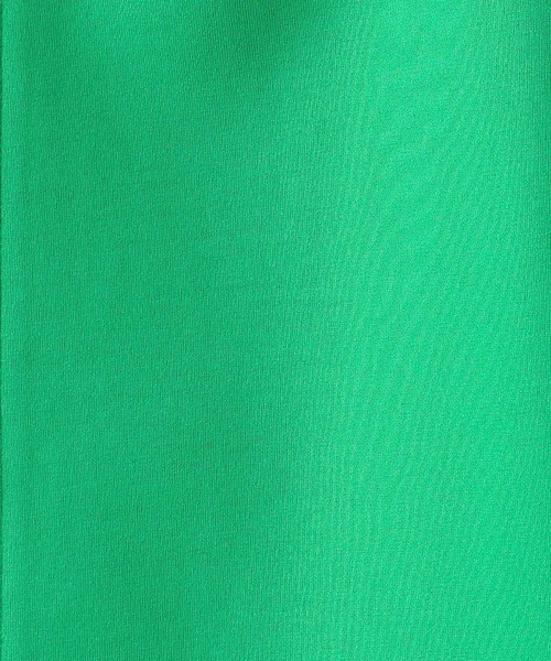 LEPSIM（レプシィム）の「スリットナロースカート　183610（スカート・レディース・ブラック/グリーン・FREE）」の16枚目の写真